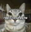 cyber.rue Altpins Profile Picture