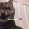 cyber.rue Altpins Profile Picture