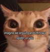 cyber.rue Altpins Profile Picture