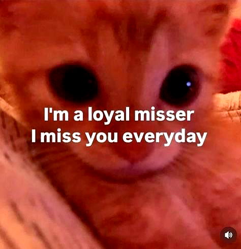 cyber.rue instagram image archive image