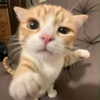 cyber.rue Altpins Profile Picture