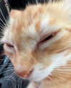 cyber.rue Altpins Profile Picture
