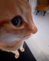cyber.rue Altpins Profile Picture