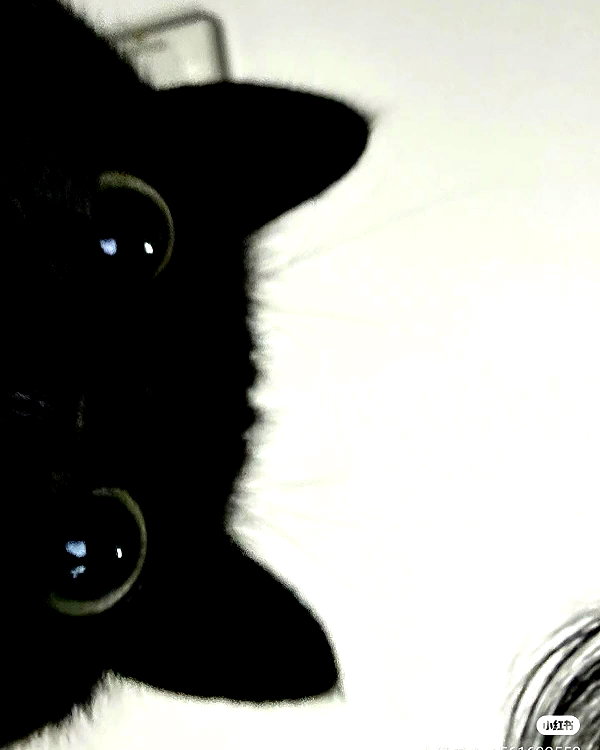 cyberkitty_____ instagram image archive image