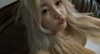 cyngxq Altpins Profile Picture