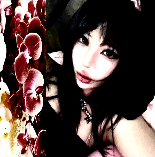 d0lli.ii instagram image archive image