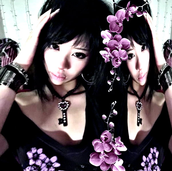 d0lli.ii d0lli.ii archive image