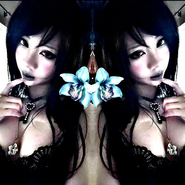 d0lli.ii d0lli.ii archive image