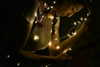 da.rk_.angel Altpins Profile Picture