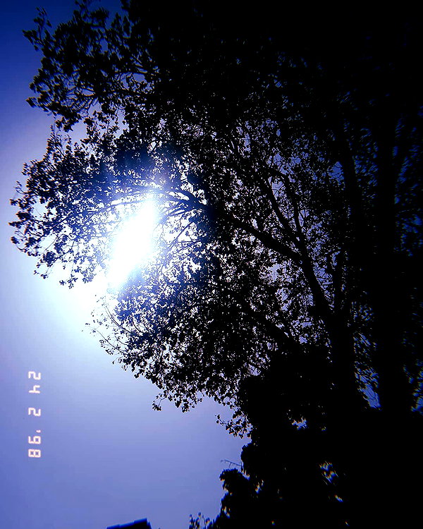 da.rk_.angel instagram image archive image