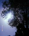 da.rk_.angel Altpins Profile Picture