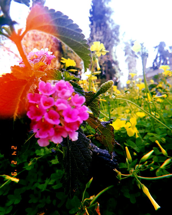 da.rk_.angel instagram image archive image