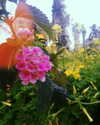 da.rk_.angel Altpins Profile Picture
