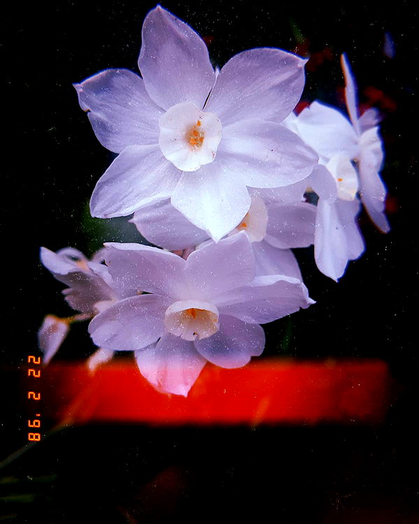 da.rk_.angel instagram image archive image