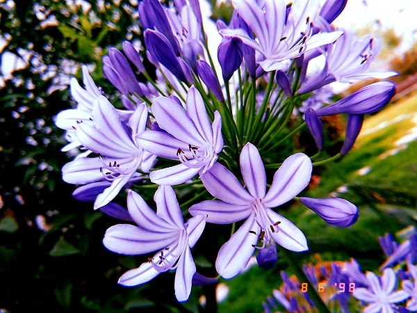 da.rk_.angel instagram image archive image