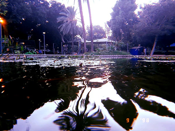 da.rk_.angel instagram image archive image