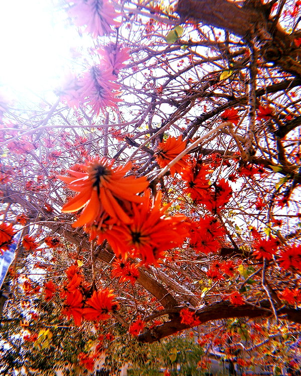 da.rk_.angel instagram image archive image