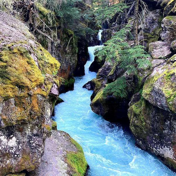dakotabell05 instagram image archive image