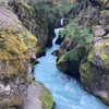 dakotabell05 Altpins Profile Picture