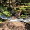 dakotabell05 Altpins Profile Picture