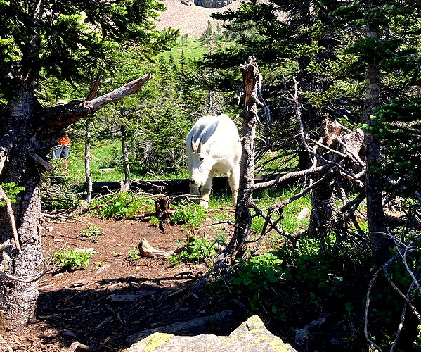 dakotabell05 instagram image archive image