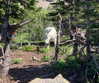 dakotabell05 Altpins Profile Picture