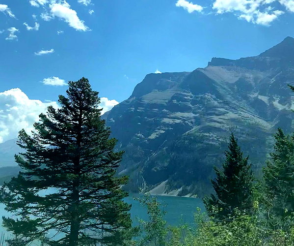 dakotabell05 instagram image archive image