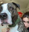 dakotabell05 Altpins Profile Picture