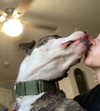 dakotabell05 Altpins Profile Picture