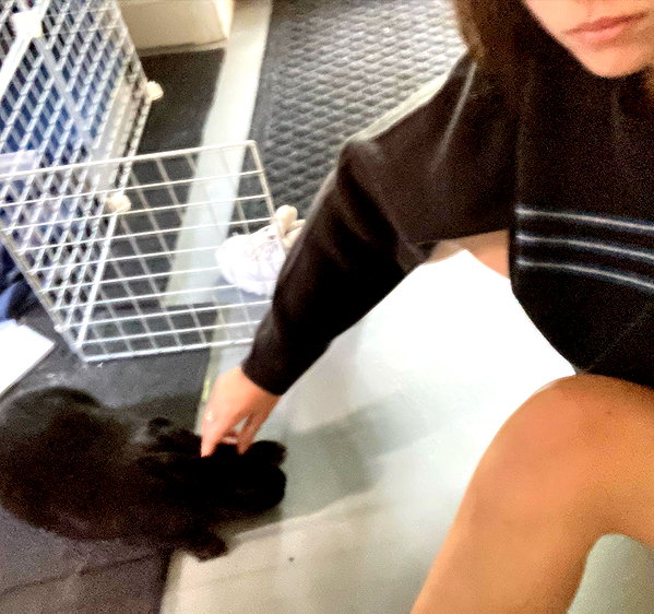 dakotabell05 instagram image archive image