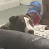 dakotabell05 Altpins Profile Picture