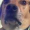dakotabell05 Altpins Profile Picture