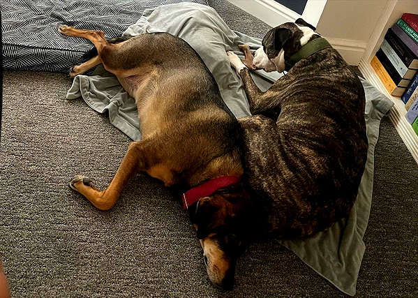 dakotabell05 instagram image archive image
