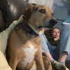 dakotabell05 Altpins Profile Picture