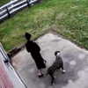 dakotabell05 Altpins Profile Picture