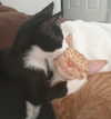 dakotabell05 Altpins Profile Picture