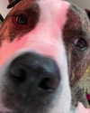 dakotabell05 Altpins Profile Picture