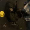 dakotabell05 Altpins Profile Picture