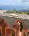 dakotabell05 Altpins Profile Picture