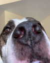 dakotabell05 Altpins Profile Picture