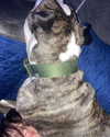 dakotabell05 Altpins Profile Picture