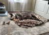 dakotabell05 Altpins Profile Picture