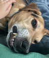 dakotabell05 Altpins Profile Picture