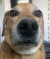 dakotabell05 Altpins Profile Picture
