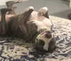 dakotabell05 Altpins Profile Picture