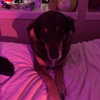 dakotabell05 Altpins Profile Picture