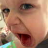 dakotabell05 Altpins Profile Picture