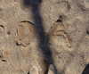 dakotabell05 Altpins Profile Picture