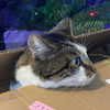 dakotabell05 Altpins Profile Picture