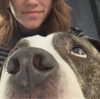 dakotabell05 Altpins Profile Picture
